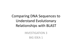 Comparing DNA Sequences to Understand Evolutionary