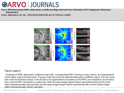 Slide 1 - ARVO Journals