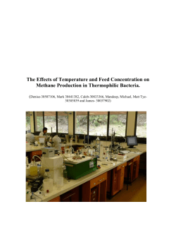 Discussion - Murdoch University