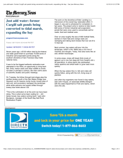 Just add water: former Cargill salt ponds being converted to tidal