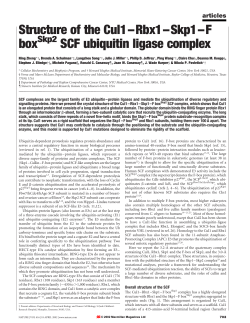 Structure of the Cul1–Rbx1–Skp1–F box SCF ubiquitin ligase complex