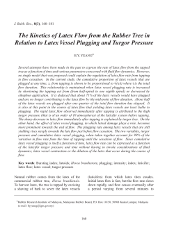 The Kinetics of Latex Flow from the Rubber Tree in