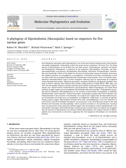 (Marsupialia) based on sequences for five nuclear genes