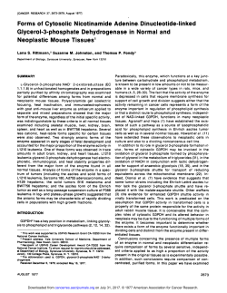 Forms of Cytosolic Nicotinamide Adenine