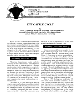the cattle cycle