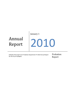 Annual Report - City of Gallipolis