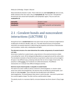 doc Chapter2