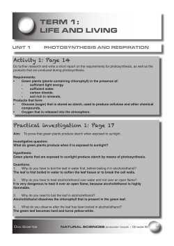 Practicals - Doc Scientia