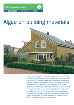 Algal growth on 2008