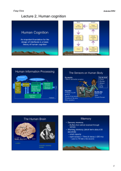Lecture 2, Human cognition