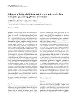 Influence of light availability on leaf structure and