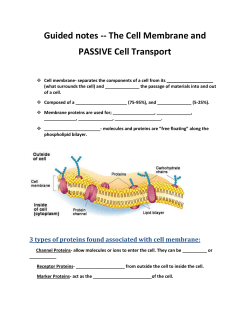 Guided notes -- The Cell Membrane and PASSIVE Cell Transport