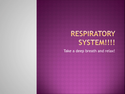 Respiratory system!!!!