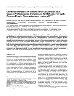 Combined Increases in Mitochondrial Cooperation and
