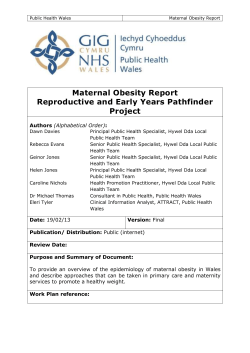 Maternal Obesity: Evidence Review