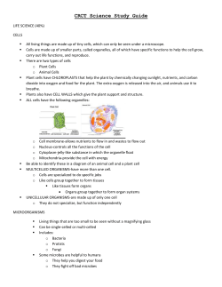 CRCT Science Study Guide