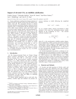 Impact of elevated CO2 on shellfish calcification