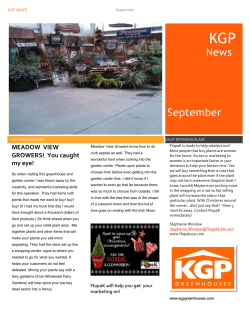 Newsletter