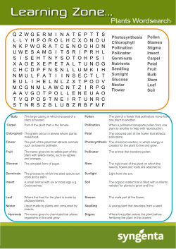 Plants Wordsearch