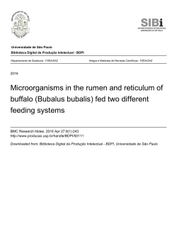 Microorganisms in the rumen and reticulum of buffalo