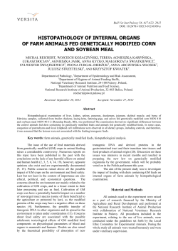 histopathological study of internal organs of experimental animals