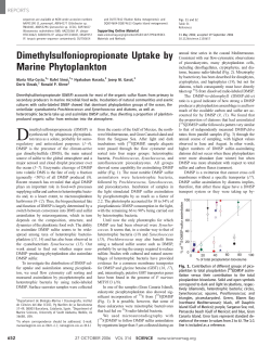 Dimethylsulfoniopropionate Uptake by Marine Phytoplankton
