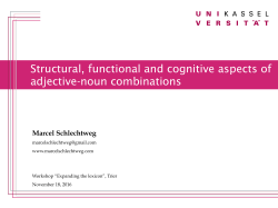 Structural, functional and cognitive aspects of adjective
