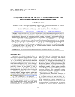 Nitrogen use efficiency and life cycle of root nodules in Alfalfa after