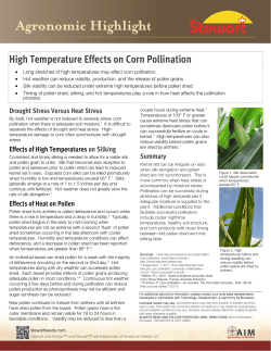 High Temperature Effects on Corn Pollination