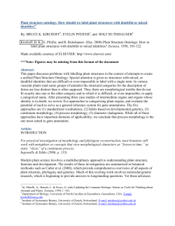 Plant structure ontology