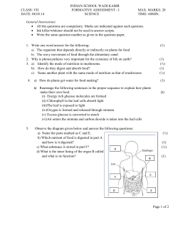 2014-15 question paper - Indian School Al Wadi Al Kabir