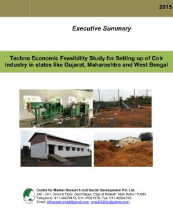 Executive Summary-Techno -Economic Feasibility study