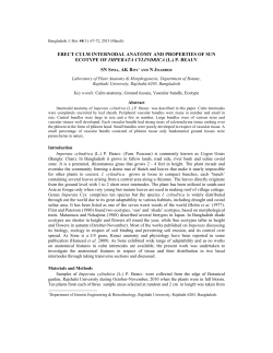 erect culm internodal anatomy and properties of sun ecotype of