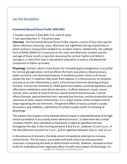 Microsoft Word - Lab Testing Protocols
