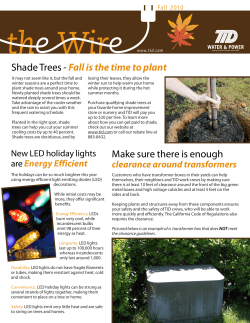 Shade Trees-Fall is the time to plant Make sure there is enough