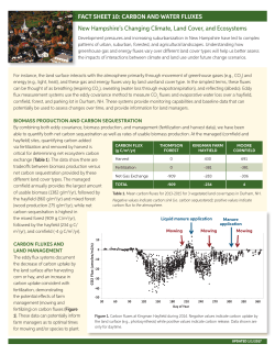 CARBON AND WATER FLUXES