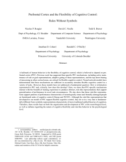 Prefrontal Cortex and the Flexibility of Cognitive Control: Rules