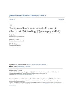 Prediction of Leaf Area in Individual Leaves of Cherrybark Oak