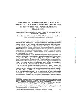 incorporation, distribution, and turnover of arachidonic acid within