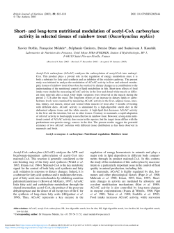 and long-term nutritional modulation of acetyl