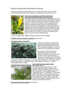 These are the plants about which Plantlife is concerned. We would