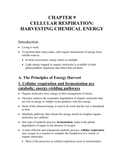 chapter 9 cellular respiration: harvesting