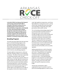 Breeding Program - Arkansas Rice Research and Promotion Board