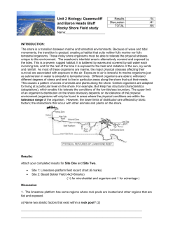 Baron Heads Field Report