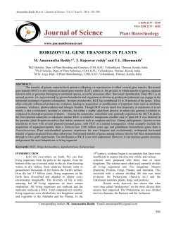 horizontal gene transfer in plants