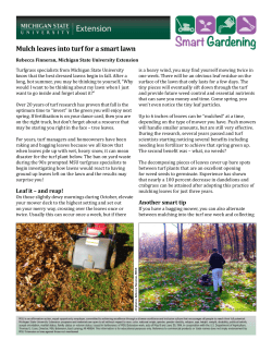 Mulch leaves into turf for a smart lawn