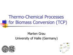 Thermo Chemical Processes for Biomass Conversion