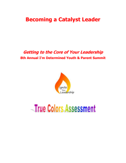 Parent Summit 2014 True Colors Activity