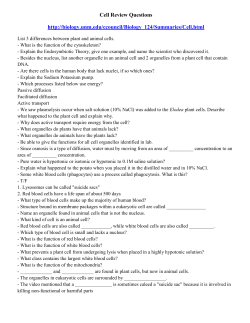 Cell Review Questions - hrsbstaff.ednet.ns.ca