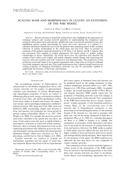 SCALING MASS AND MORPHOLOGY IN LEAVES: AN EXTENSION